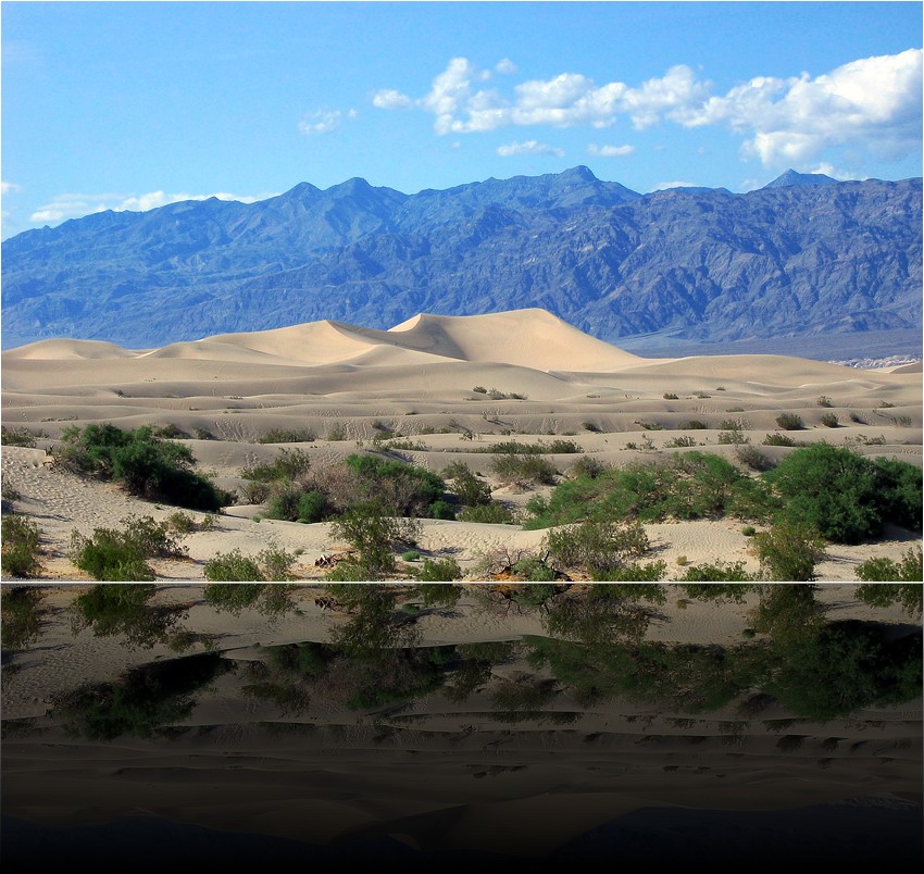 Mesquite Sand dunes 