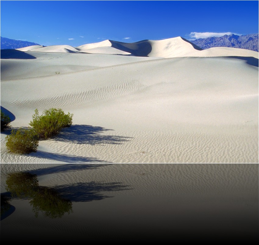 Mesquite Sand dunes 